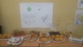 /album/iv-semana-del-aceite/img-20190425-wa0002-jpg/