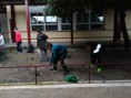/album/plantacion-de-arboles-en-el-centro/img-20200212-wa0002-jpg/