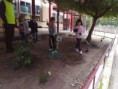 /album/plantacion-de-arboles-en-el-centro/img-20200212-wa0003-jpg/